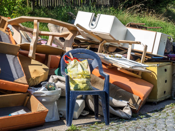 Best Professional Junk Removal  in Lake Mills, IA