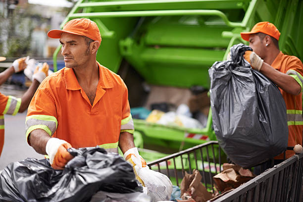 Best Electronics Removal Services  in Lake Mills, IA